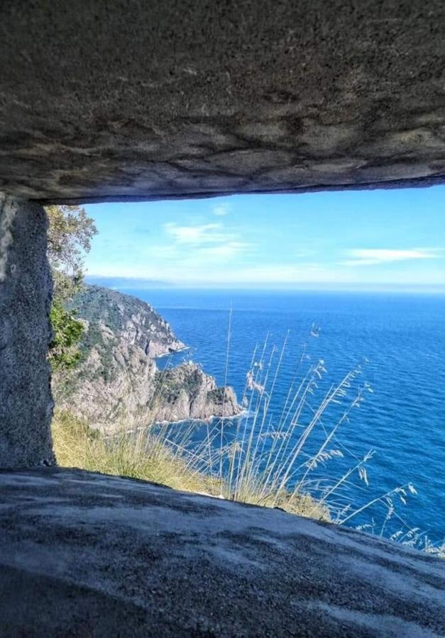 Rosablu Vacanza Tra Mare E Parco Di Portofino Camogli Exterior photo