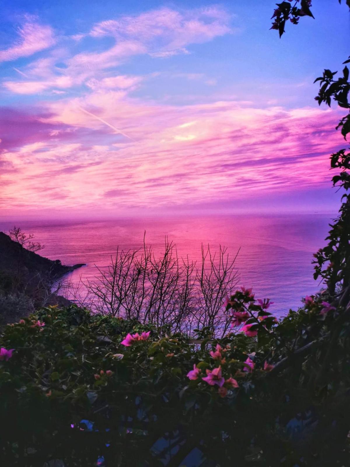 Rosablu Vacanza Tra Mare E Parco Di Portofino Camogli Exterior photo